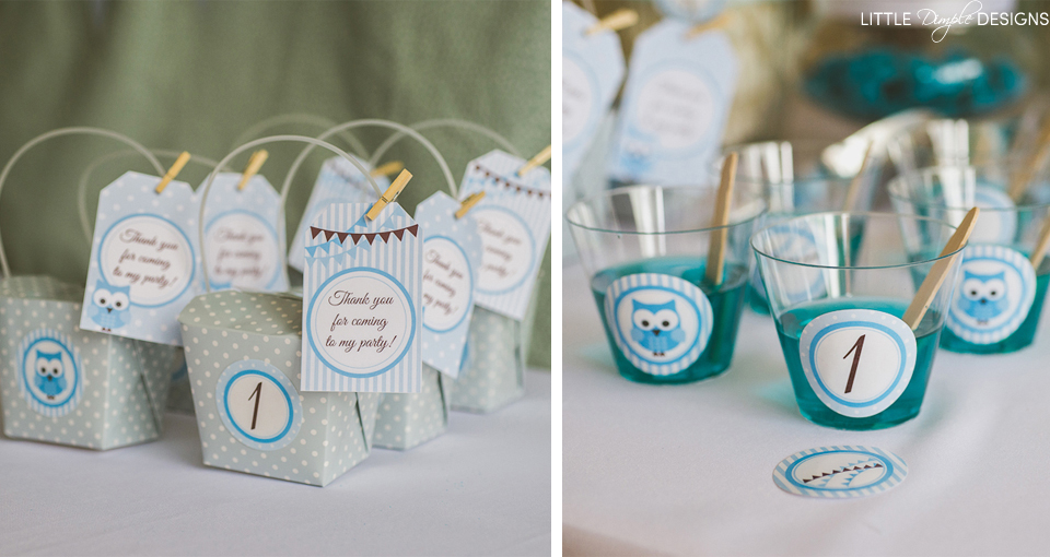 Owl Party Favors for a Boy