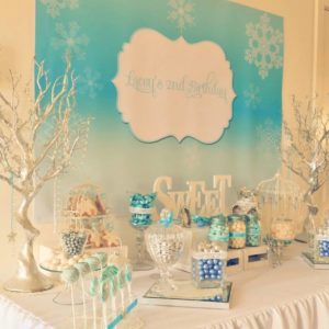 Winter Wonderland - Frozen Inspired Girl's Birthday Party Backdrop