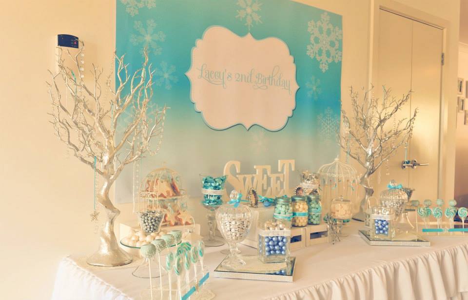 Winter Wonderland - Frozen Inspired Girl's Birthday Party Backdrop